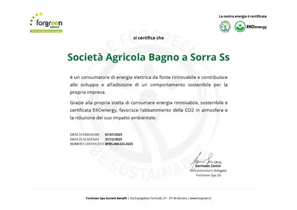 Certificato ForGreen per la fornitura elettrica 2025, documento storico
